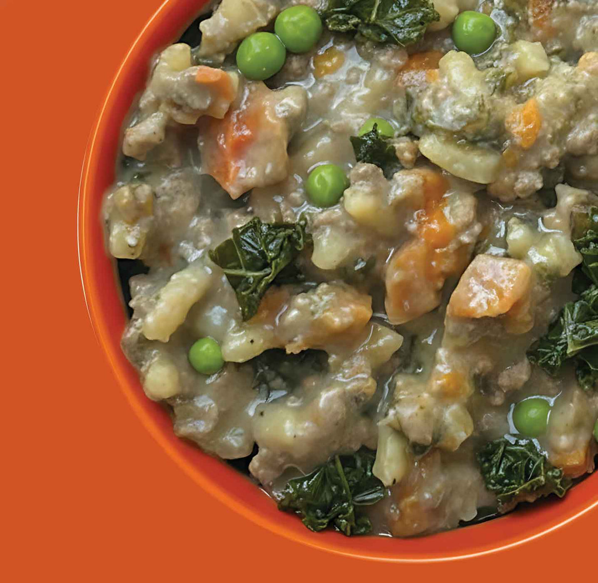 Chicken Stew for Dogs | 6-Pack